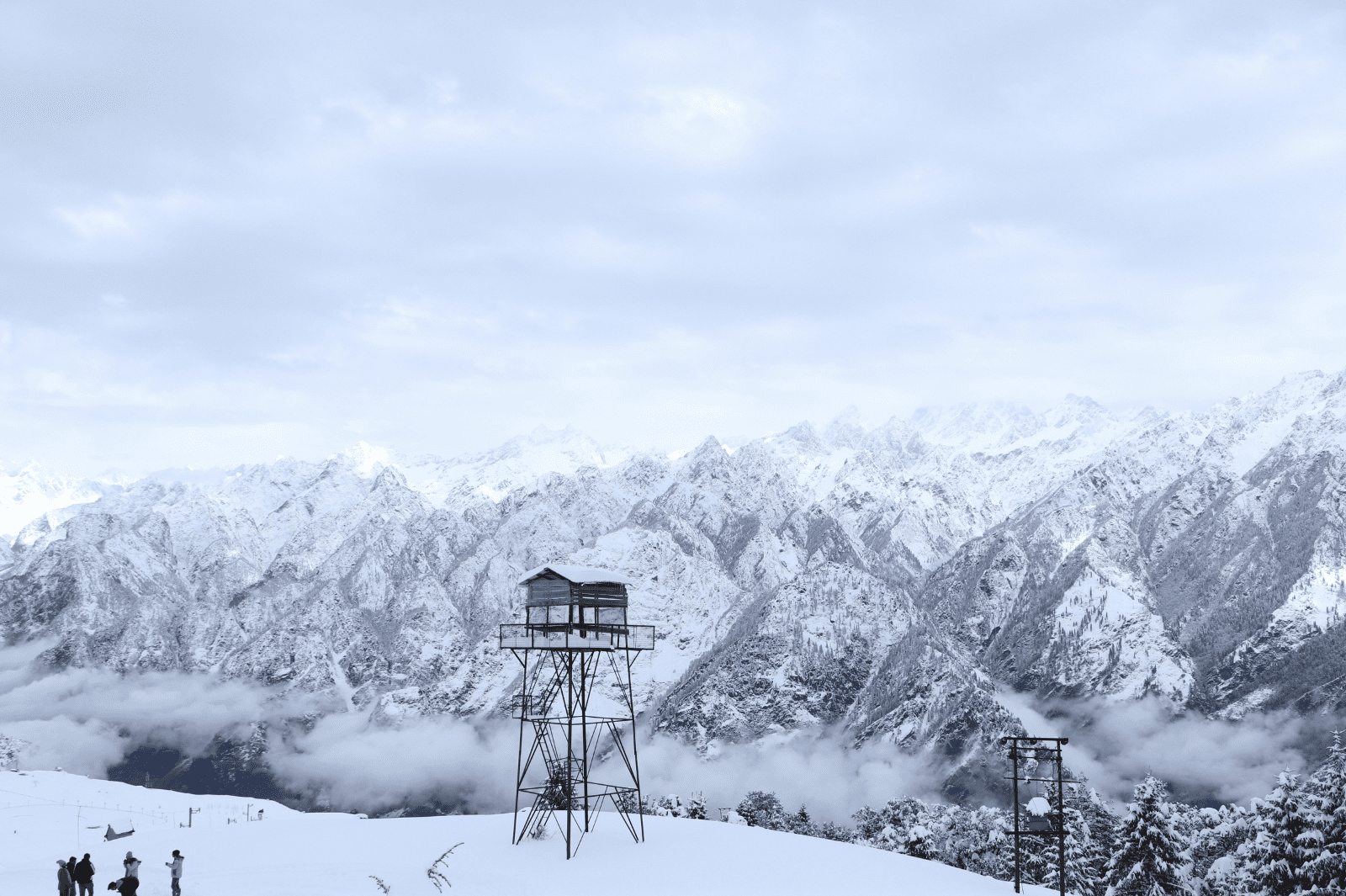 Auli
