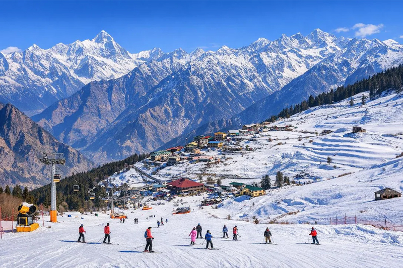 Auli